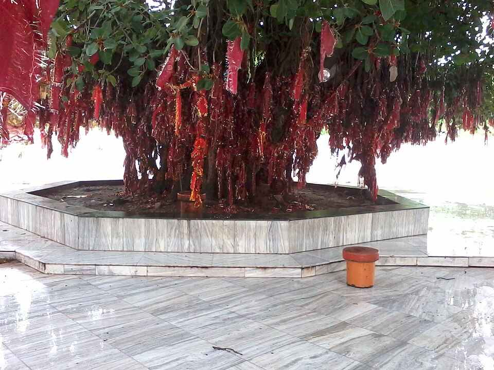 Mata Mansa Devi Temple Chandigarh India