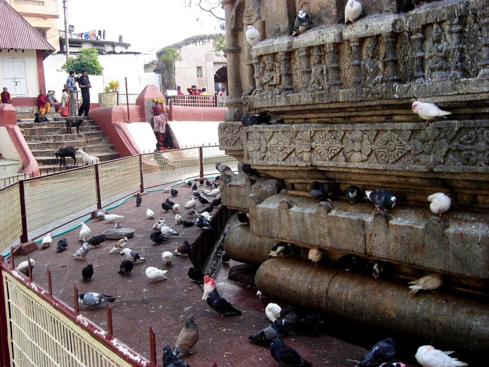 Kamakhya Temple Guwahati India