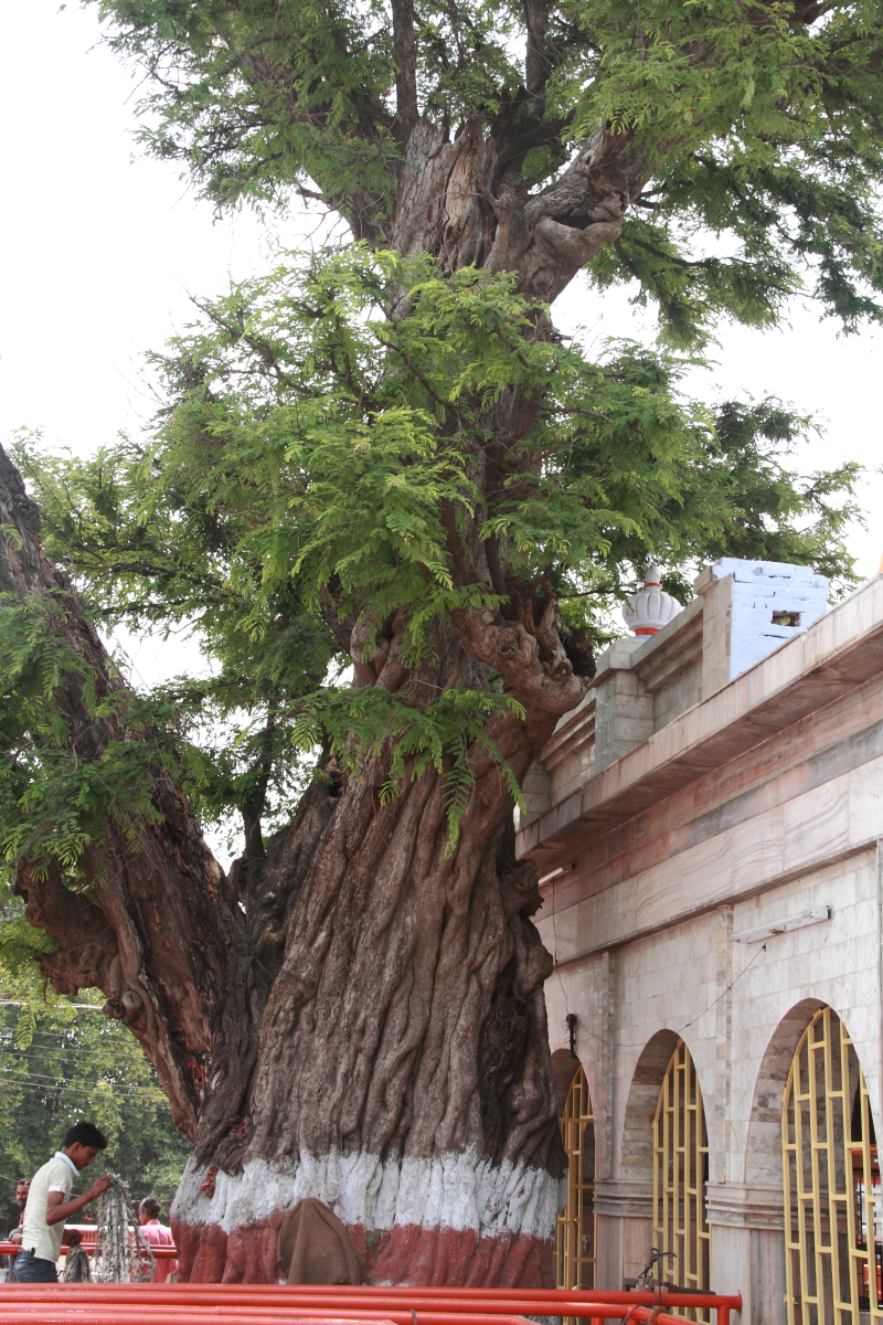 Patan Devi Temple Patna India