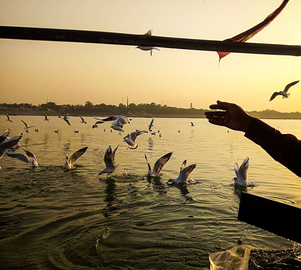 Triveni Sangam Prayagraj India